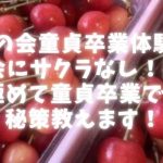 【華の会童貞卒業体験談】華の会にサクラなし！業者を見極めて童貞卒業できた秘策教えます！
